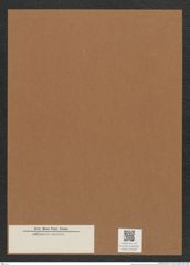 Diatomeae indet. Zeichnungen Sammlung Grunow Mappe 04068 (Herbarium_W_Grunow_drawings_Folder_04068)